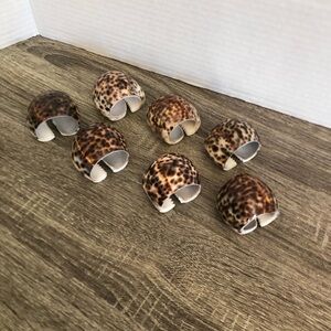 Set of Seven Cowrie Shell Napkin Rings
